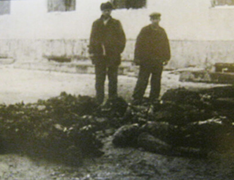 Расстрелянные узники тюрьмы (1944 г)